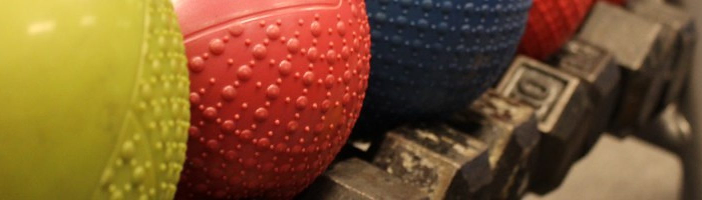 Charlotte Fitness Trainer: Lewis Fitness, LLC